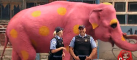 Pink-Elephant-Prank