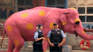 Pink-Elephant-Prank