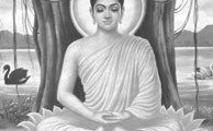 buddhar