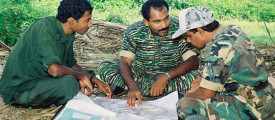 ltte