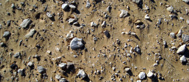 stones