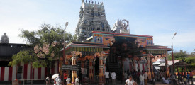 Nagapooshani_amman